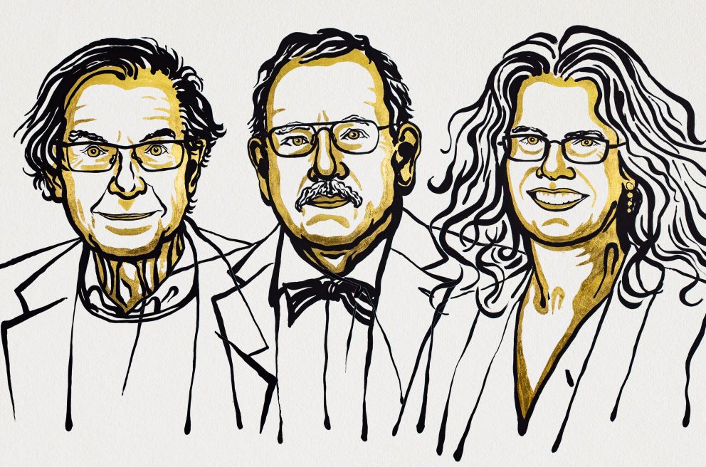Credits: The Nobel Prize Website